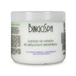 BINGOSPA Kuracja do włosów z 40 aktywnych składników 500g